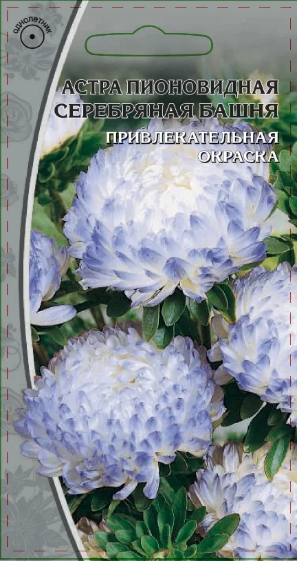 Миниатюра изображения сорта Серебряная башня