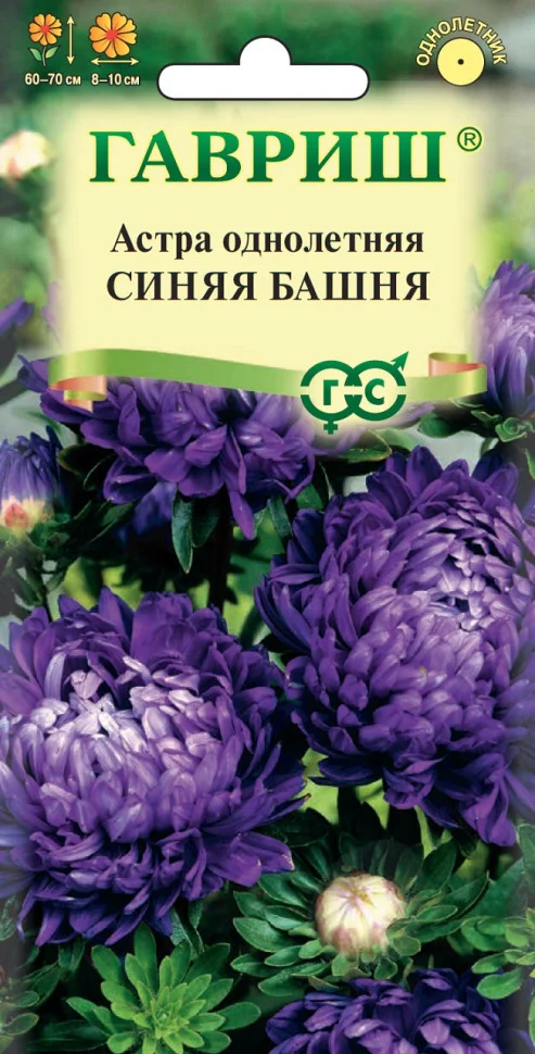 Синяя башня