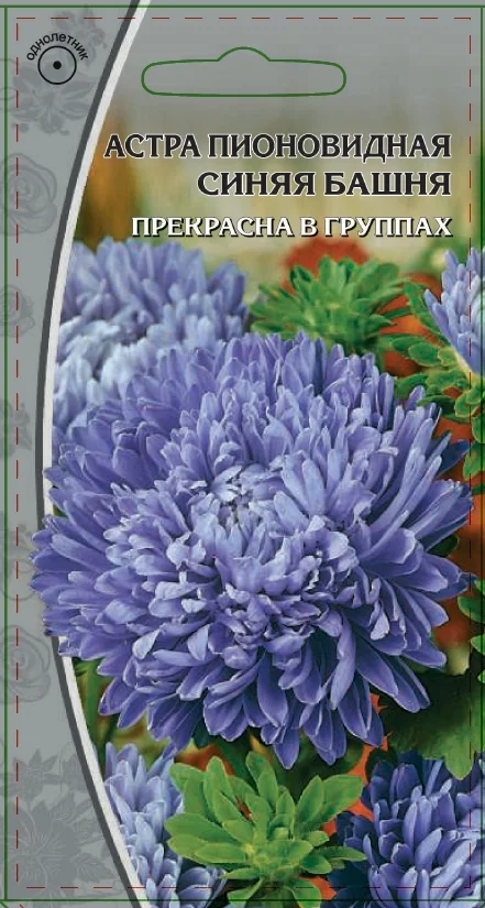 Миниатюра изображения сорта Синяя башня