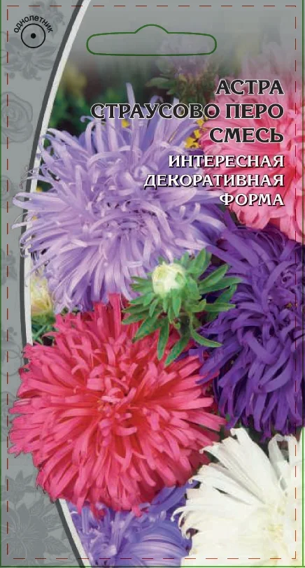 Миниатюра изображения сорта Страусово перо (смесь окрасок)