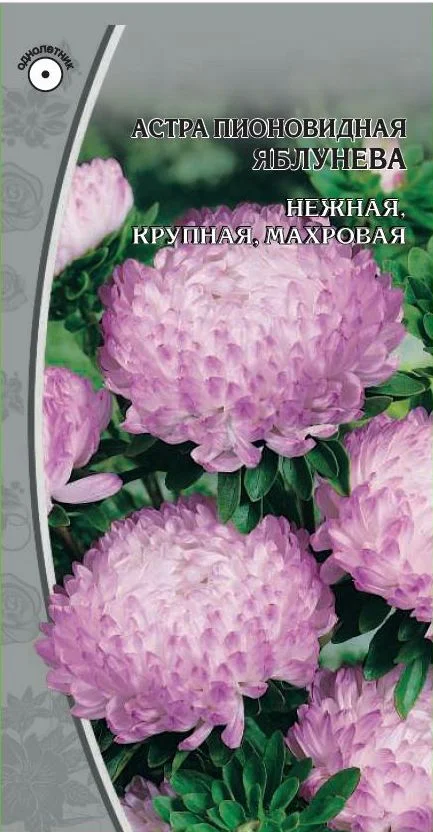 Миниатюра изображения сорта Яблунева