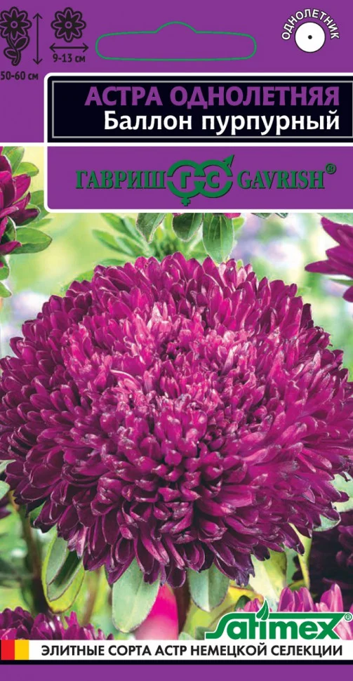 Баллон пурпурный