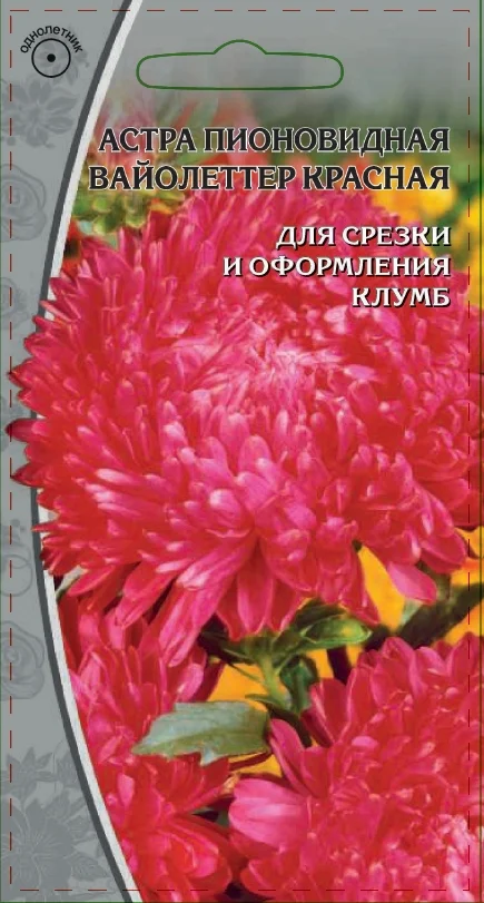 Миниатюра изображения сорта Вайолеттер красная