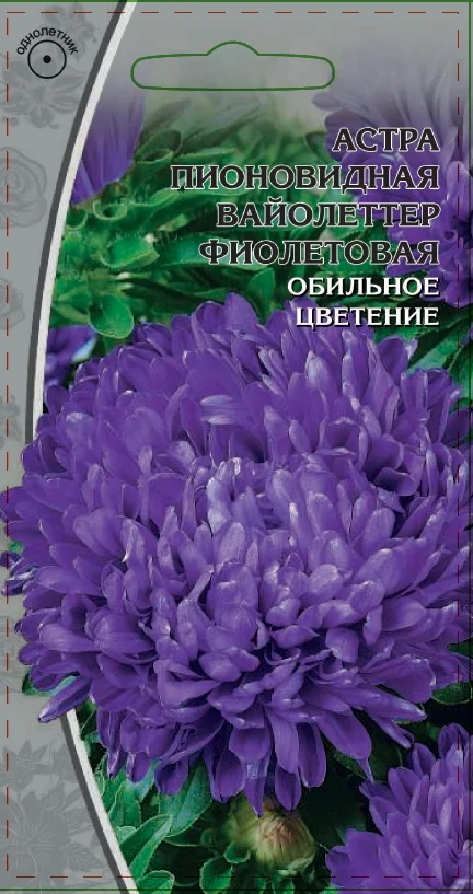 Миниатюра изображения сорта Вайолеттер фиолетовая