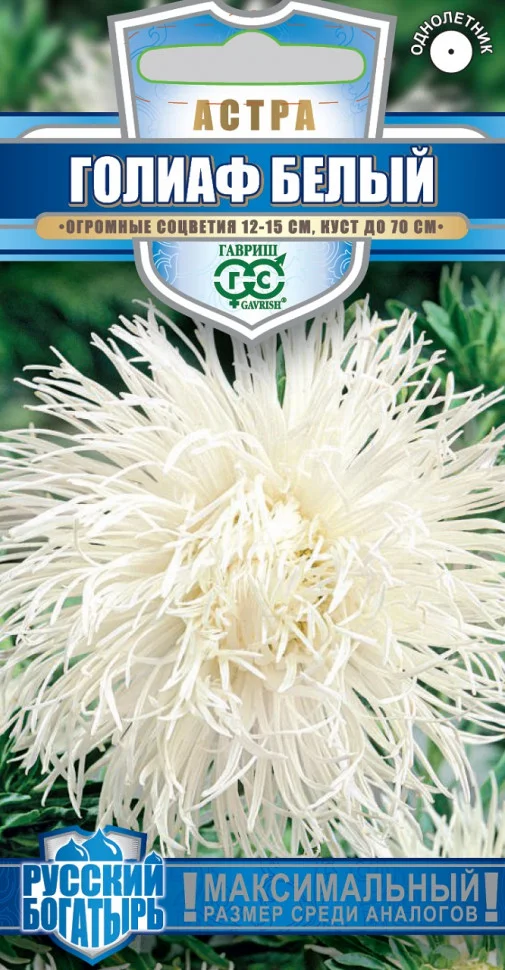 Голиаф белый