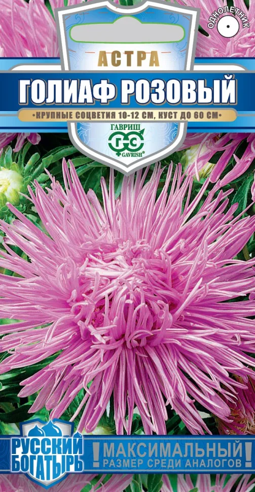 Голиаф розовый
