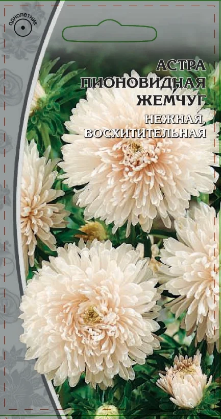 Миниатюра изображения сорта Жемчуг