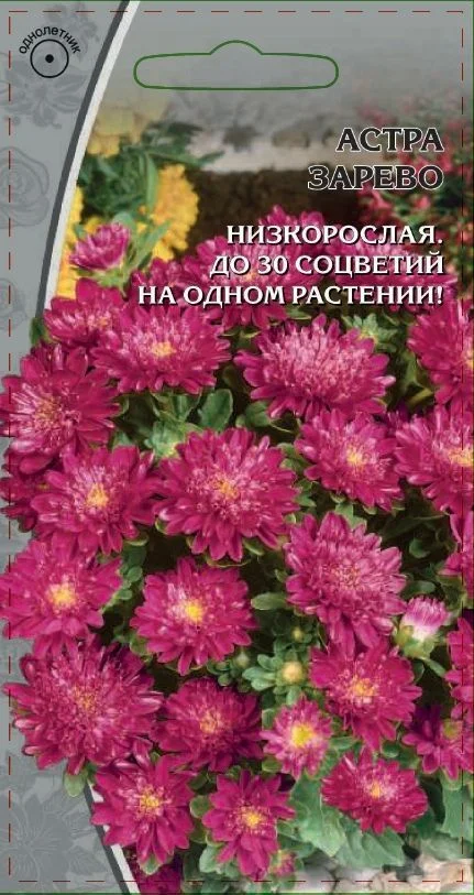 Миниатюра изображения сорта Зарево 