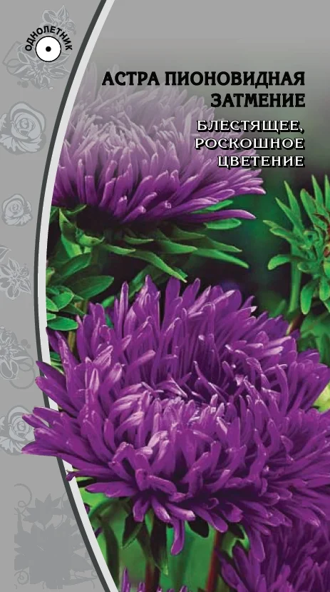 Миниатюра изображения сорта Затмение 