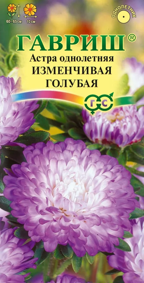 Изменчивая голубая