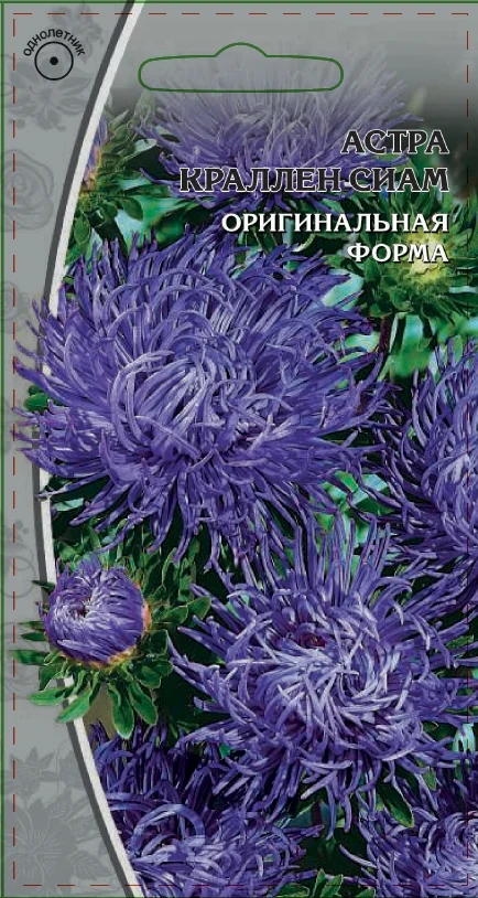 Миниатюра изображения сорта Краллен Сиам