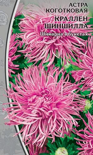 Миниатюра изображения сорта Краллен Шиншилла