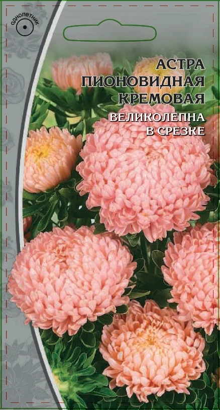 Миниатюра изображения сорта Кремовая