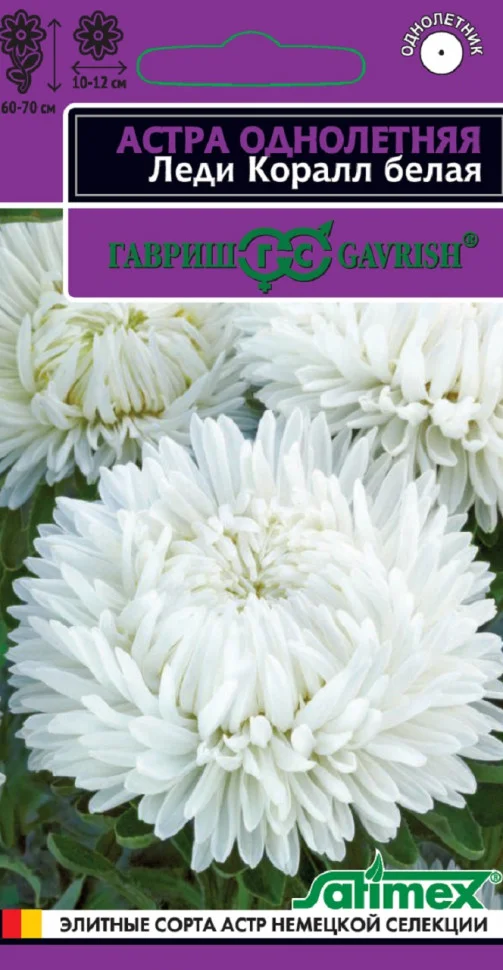 Леди Коралл белая