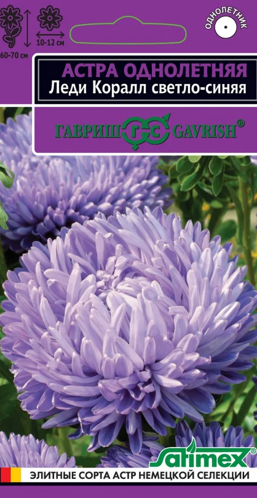 Леди Коралл светло-синяя