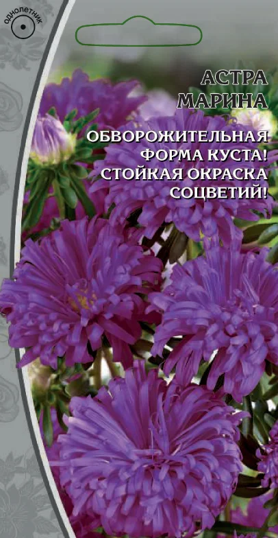 Миниатюра изображения сорта Марина 