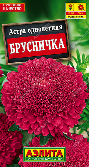 Брусничка