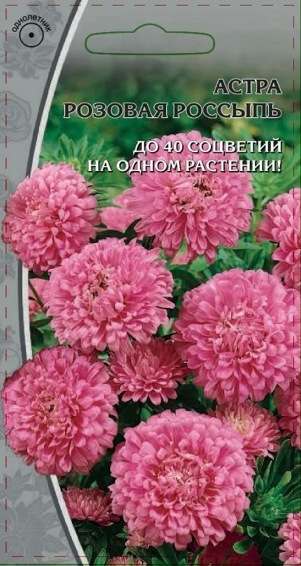 Миниатюра изображения сорта Розовая россыпь