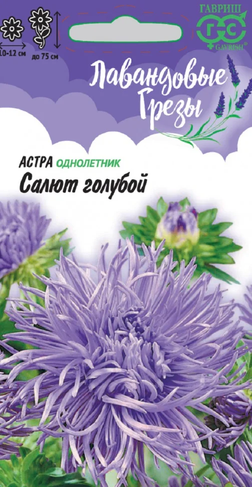 Салют голубой