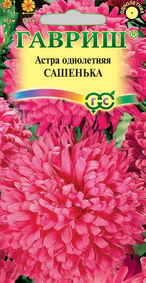 Сашенька