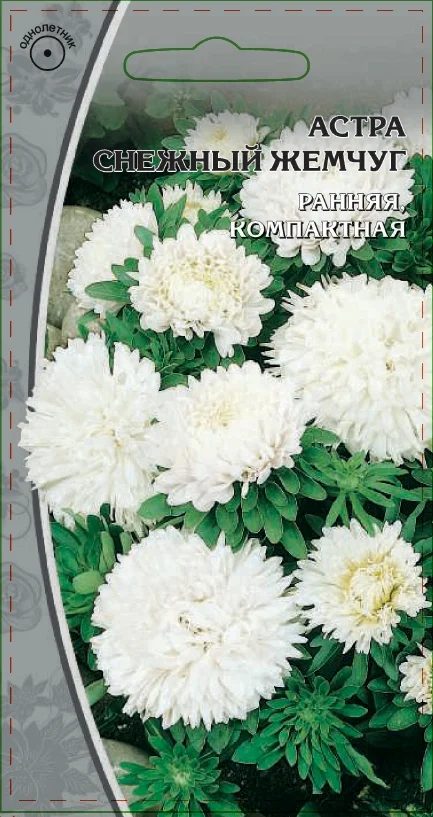 Миниатюра изображения сорта Снежный жемчуг
