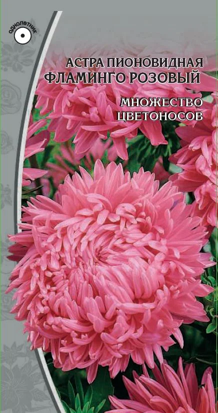 Миниатюра изображения сорта Фламинго розовый