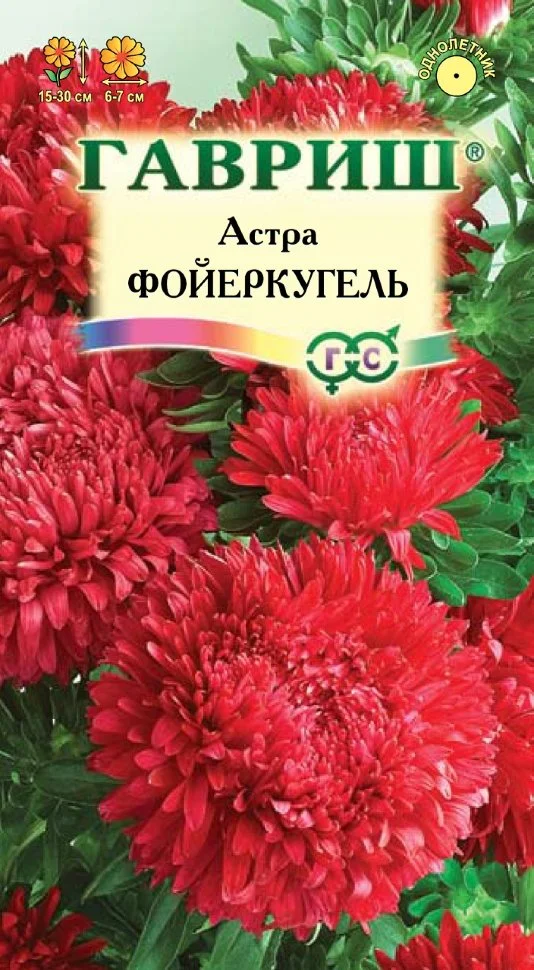 Фойеркугель