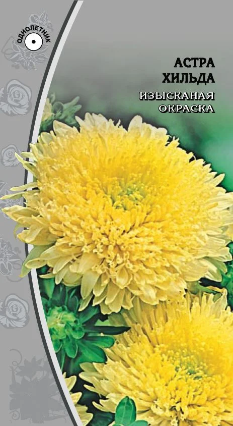 Миниатюра изображения сорта Хильда