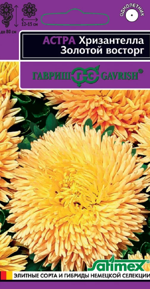 Хризантелла Золотой восторг