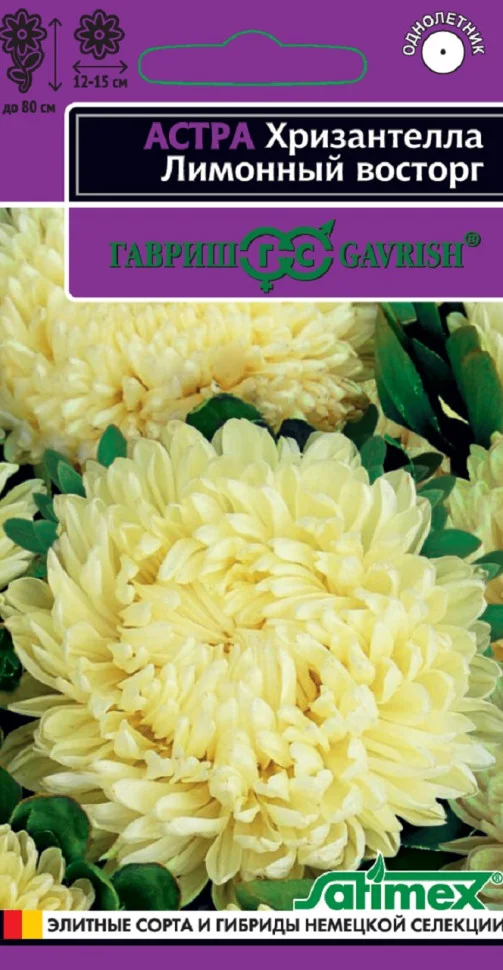 Хризантелла Лимонный восторг 