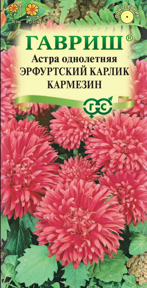 Эрфуртский карлик Кармезин