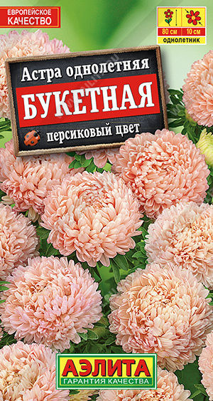 Букетная персиковый цвет