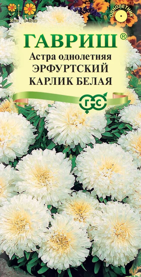 Эрфуртский карлик Белая