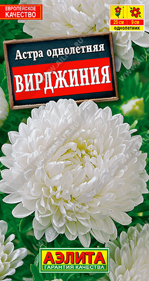Вирджиния