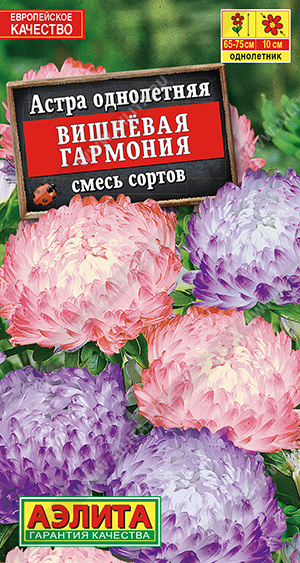 Вишневая гармония