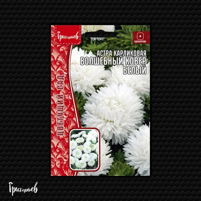 Волшебный Ковёр Белый карликовая