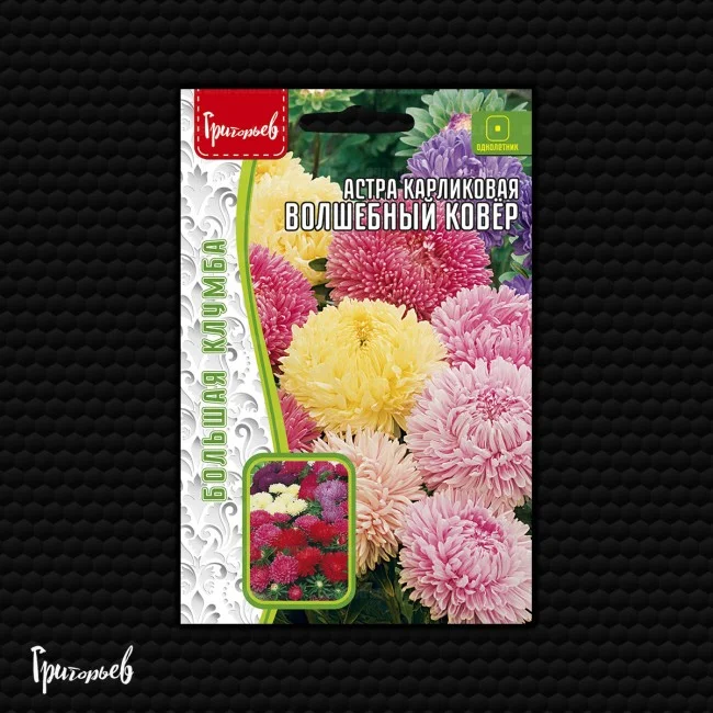 Волшебный Ковёр карликовая