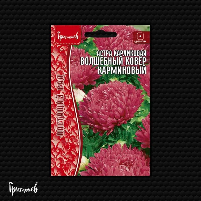 Волшебный Ковёр Карминовый карликовая