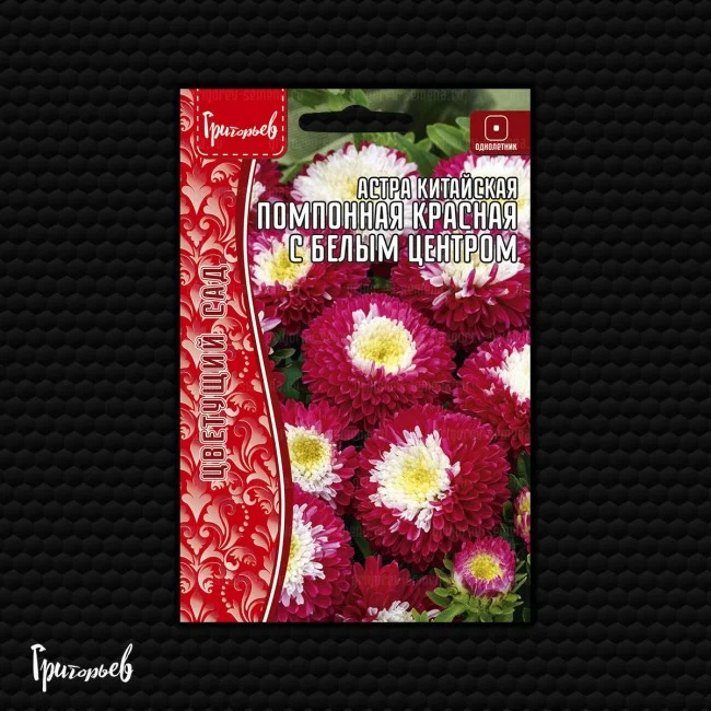 Помпонная Красная с Белым Центром китайская