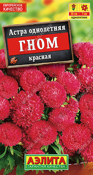 Гном красная