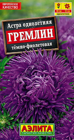 Гремлин темно-фиолетовая