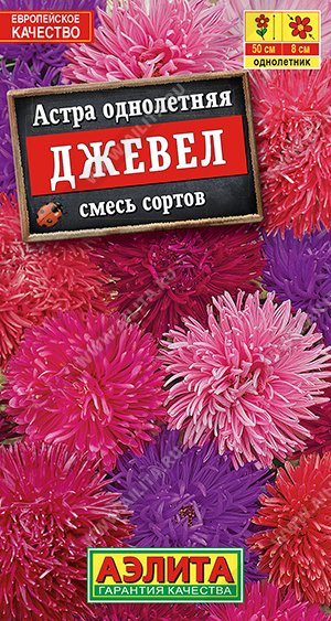 Джевел