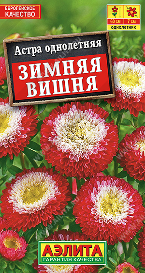 Зимняя вишня