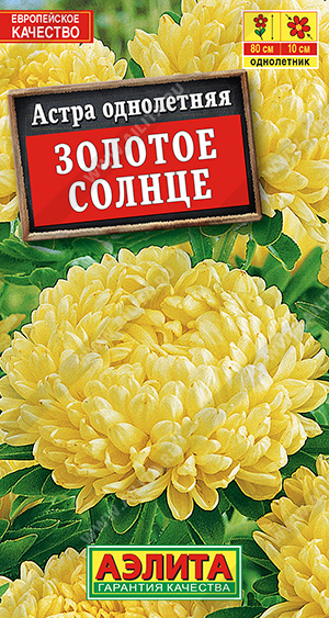 Золотое солнце пионовидная