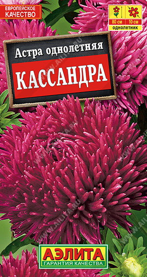 Кассандра
