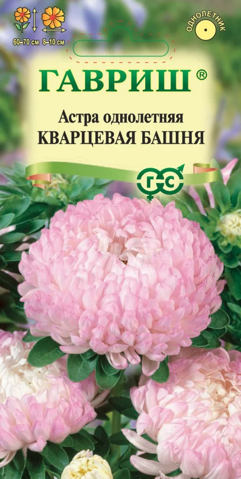 Миниатюра изображения сорта Кварцевая башня