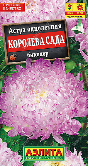 Королева сада биколор