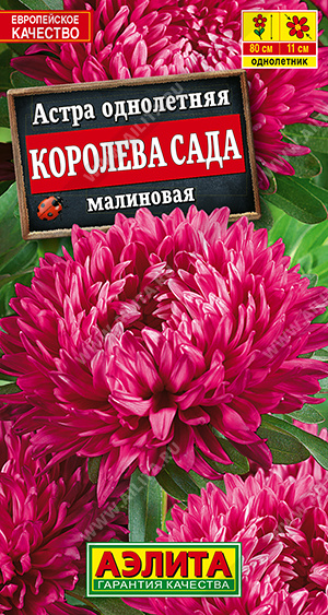 Королева сада малиновая