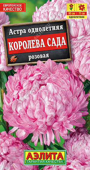 Королева сада розовая