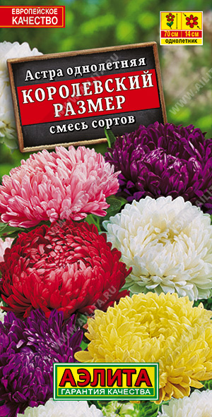 Королевский размер